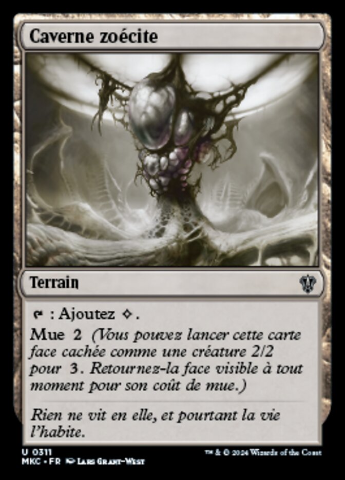 image Caverne zoécite