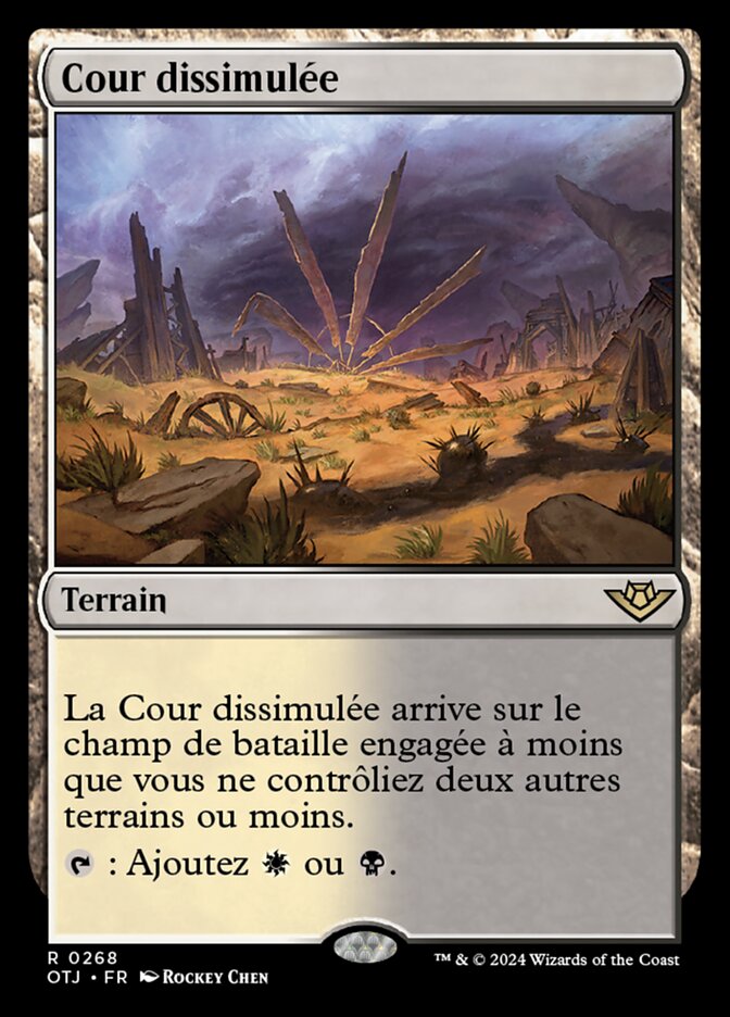 image Cour dissimulée