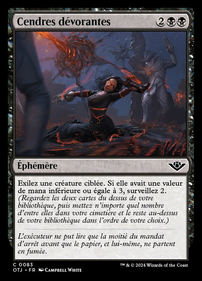 image Cendres dévorantes