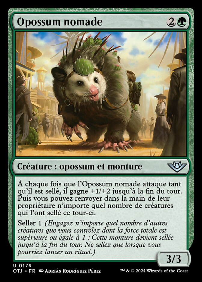 image Opossum nomade