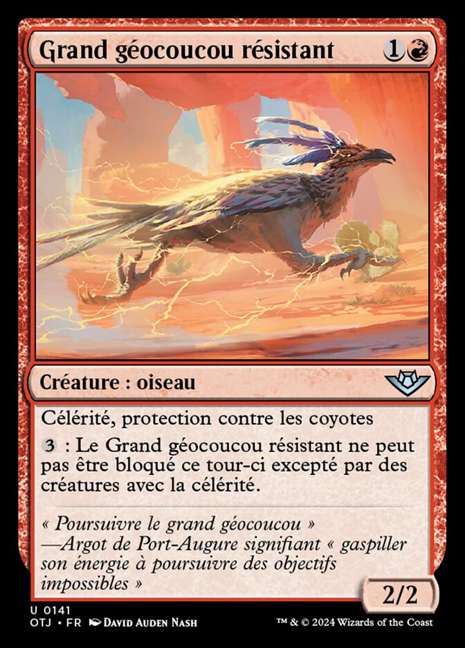 image Grand géocoucou résistant