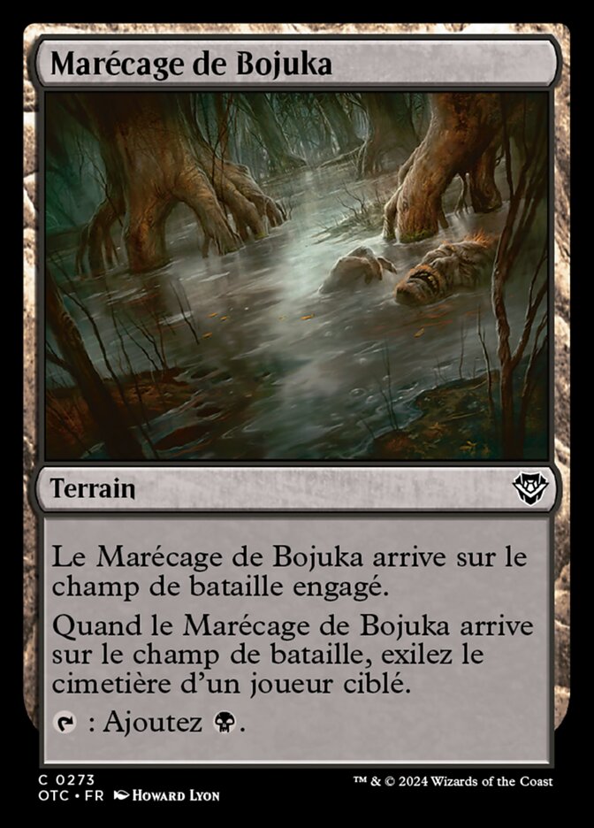 image Marécage de Bojuka