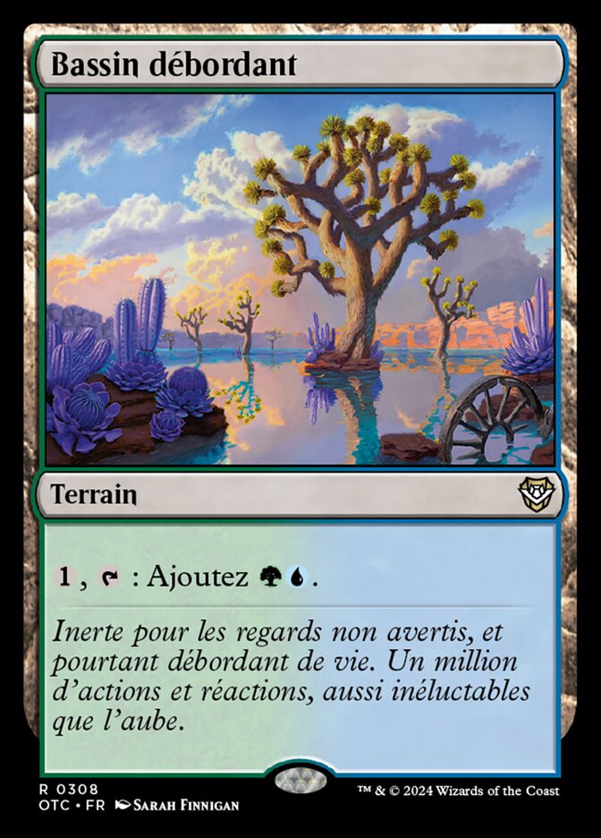 image Bassin débordant