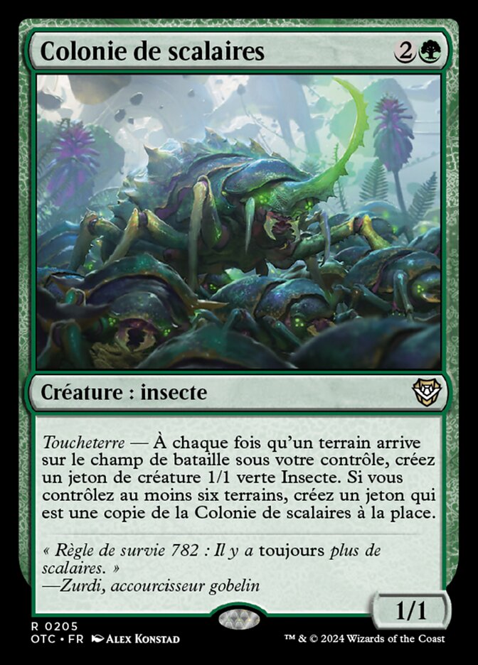 image Colonie de scalaires