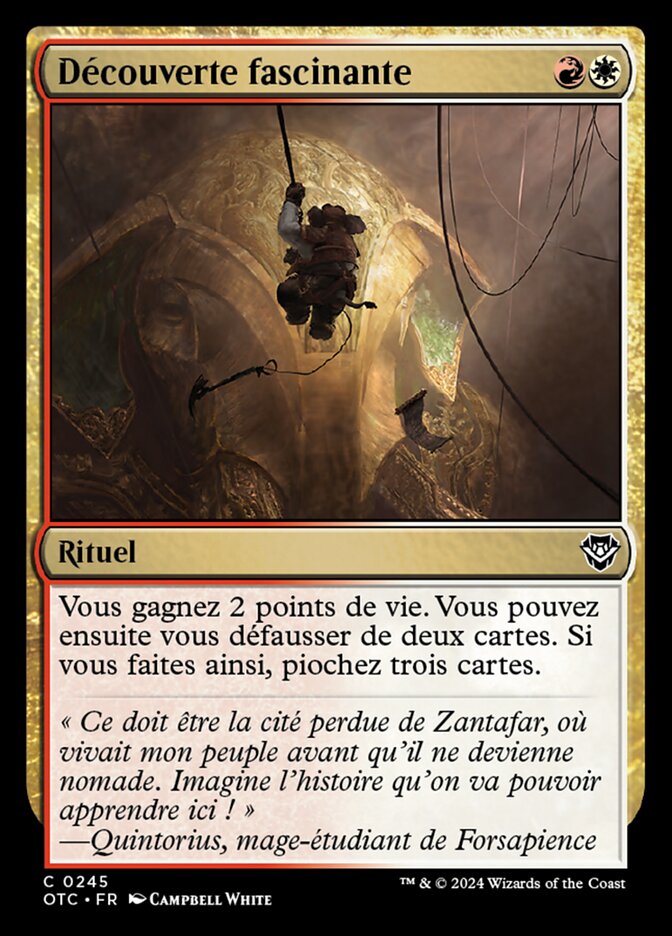 image Découverte fascinante