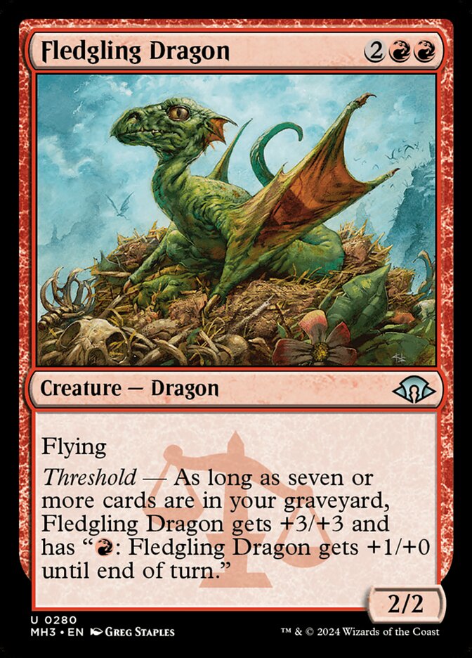 image Fledgling Dragon