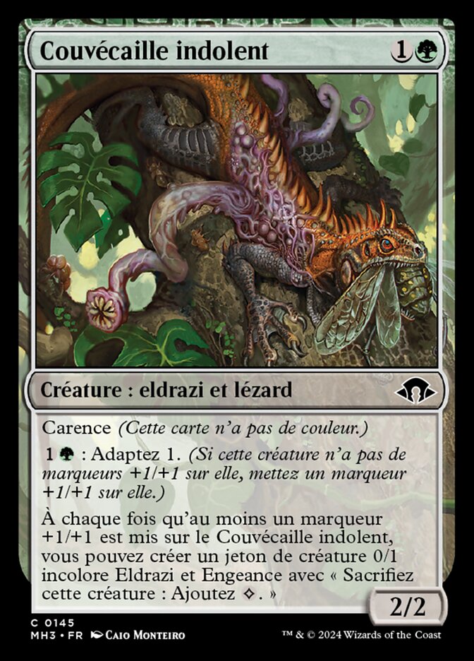 image Couvécaille indolent