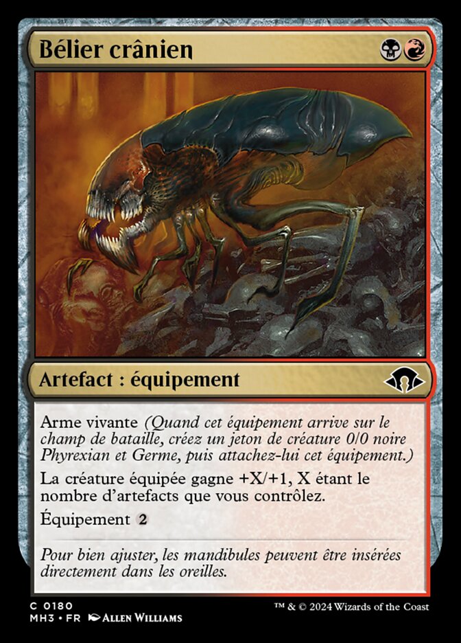 image Bélier crânien