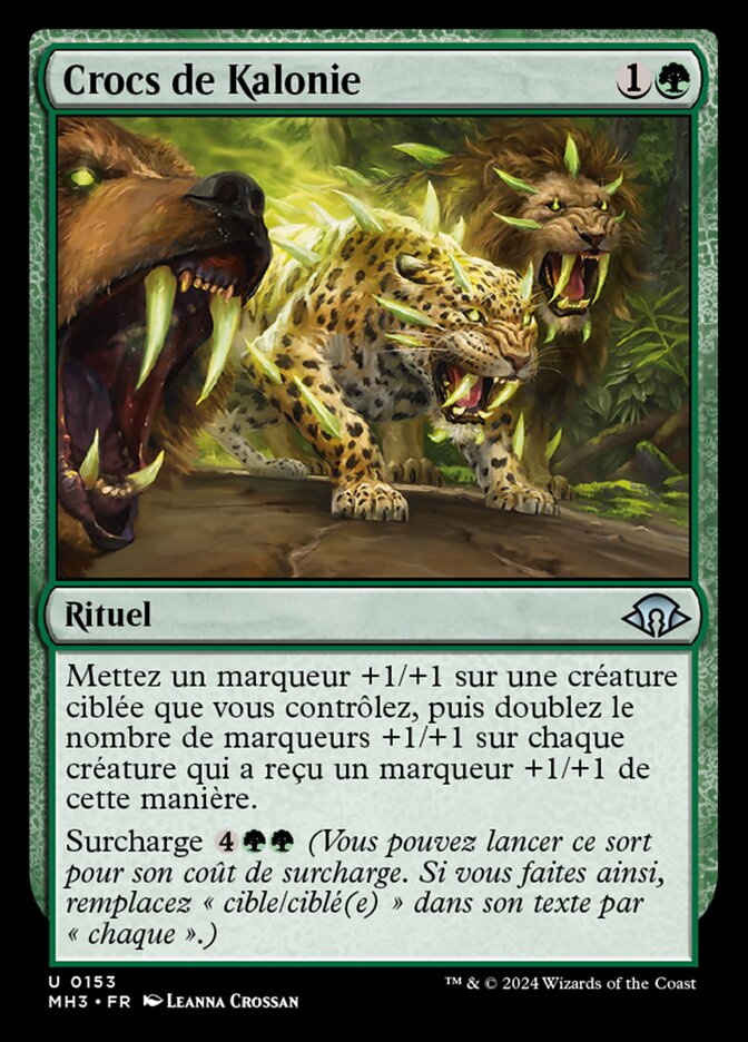 image Crocs de Kalonie