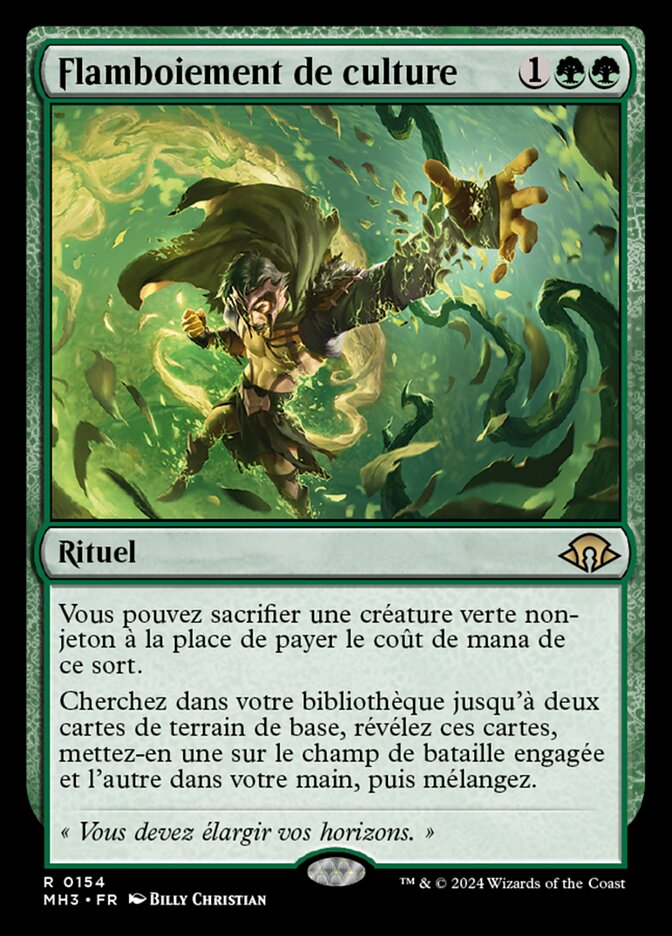 image Flamboiement de culture