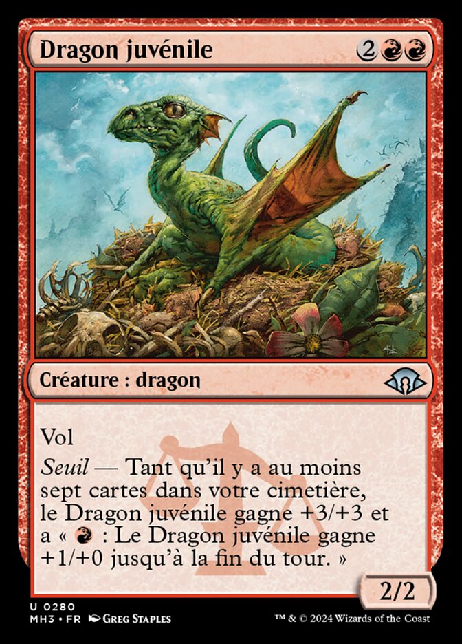 image Dragon juvénile