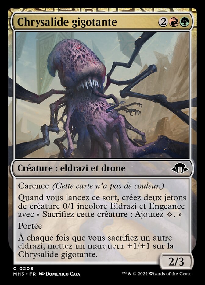 image Chrysalide gigotante