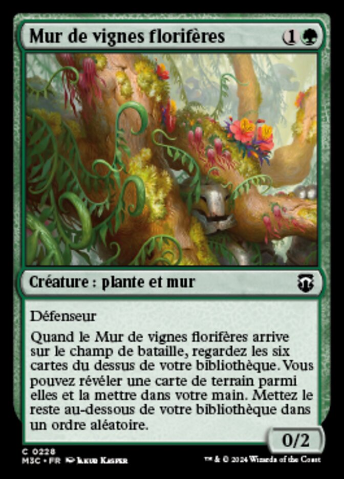 image Mur de vignes florifères