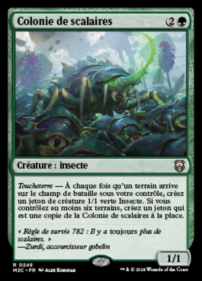 image Colonie de scalaires