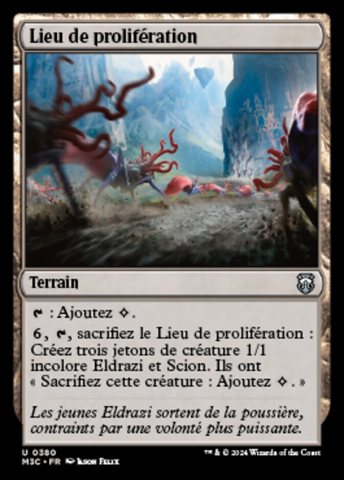 image Lieu de prolifération