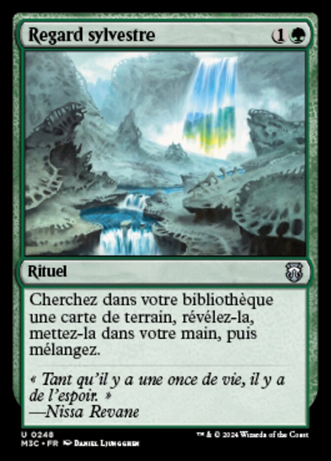 image Regard sylvestre