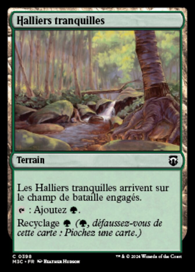 image Halliers tranquilles