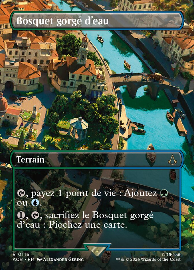 image Bosquet gorgé d'eau