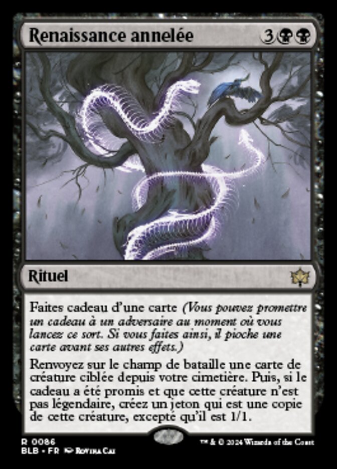 image Renaissance annelée