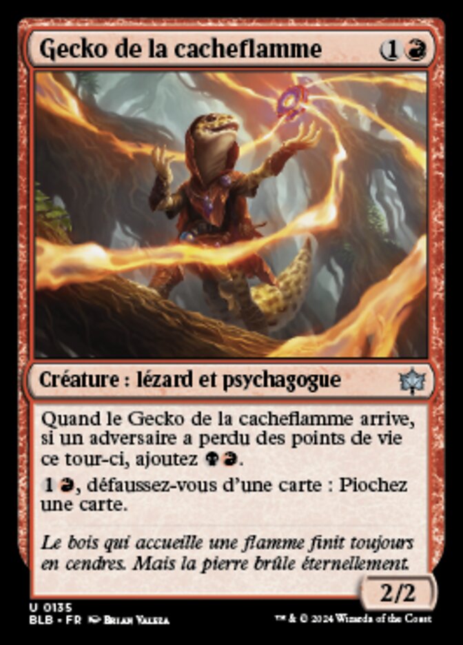 image Gecko de la cacheflamme