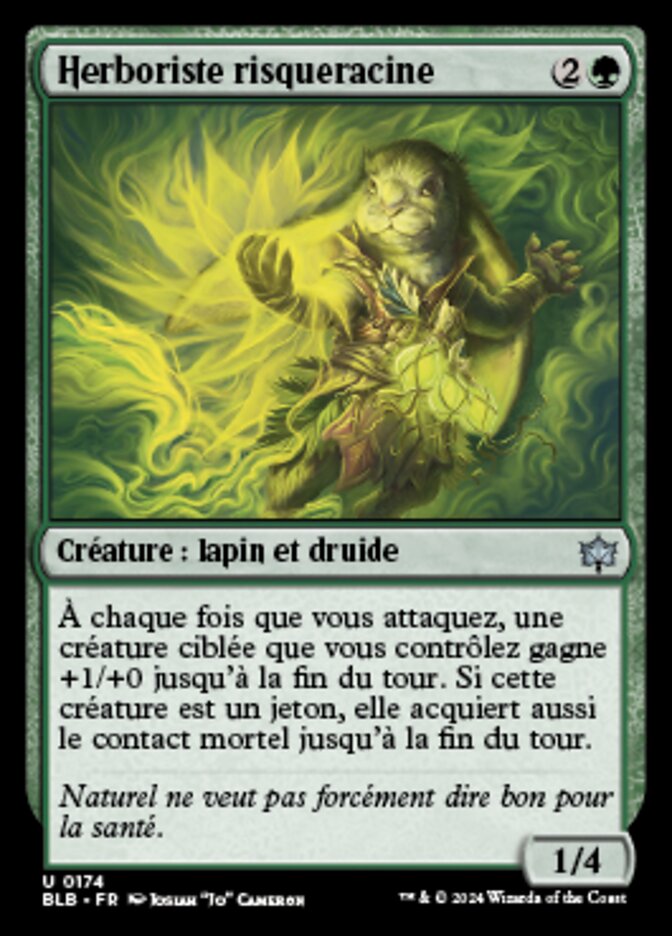 image Herboriste risqueracine