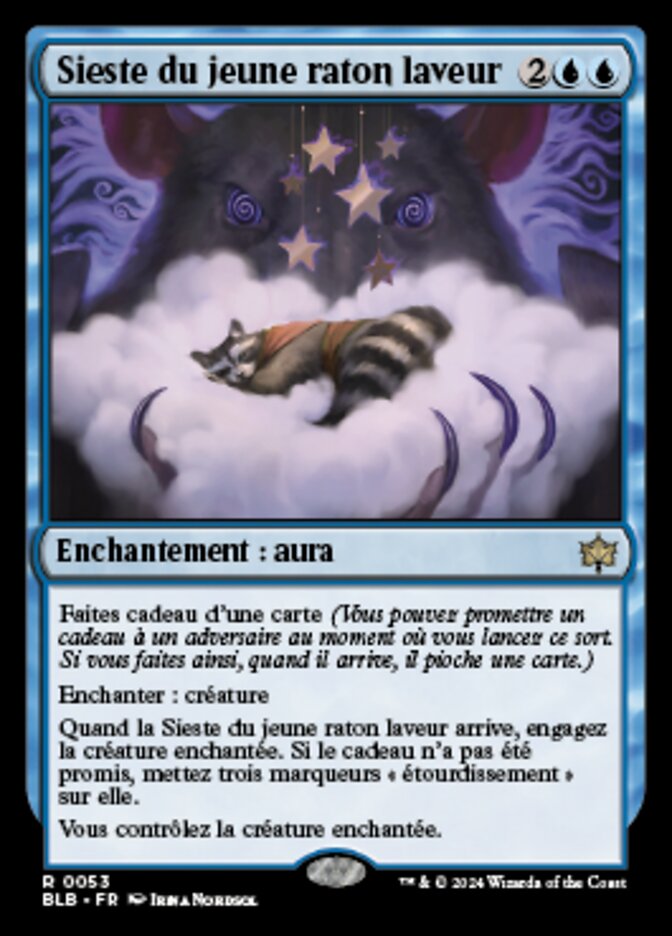 image Sieste du jeune raton laveur