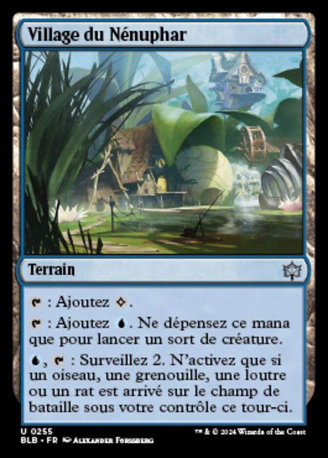 image Village du Nénuphar