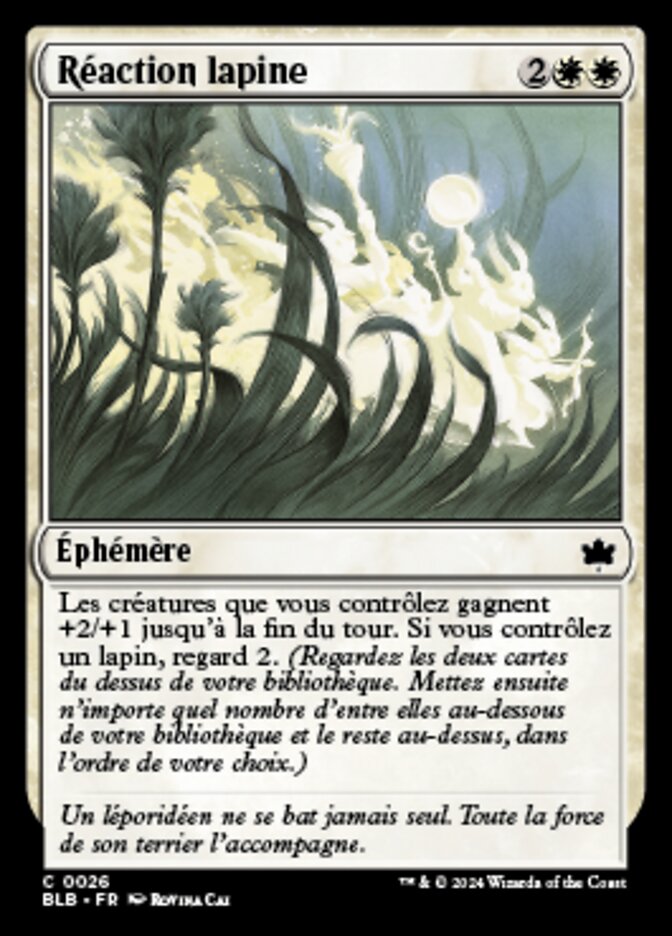 image Réaction lapine