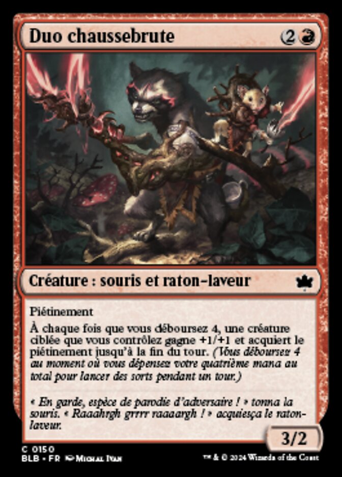 image Duo chaussebrute