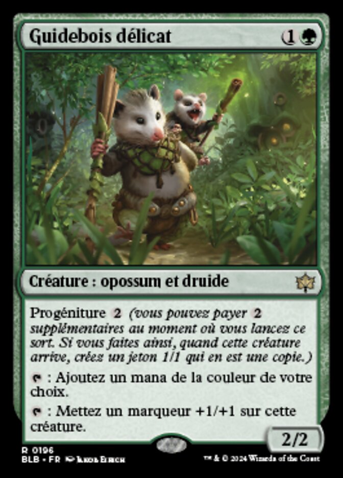 image Guidebois délicat