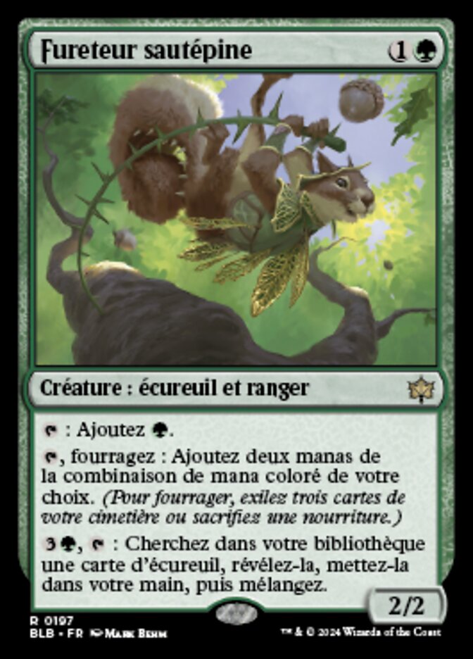 image Fureteur sautépine