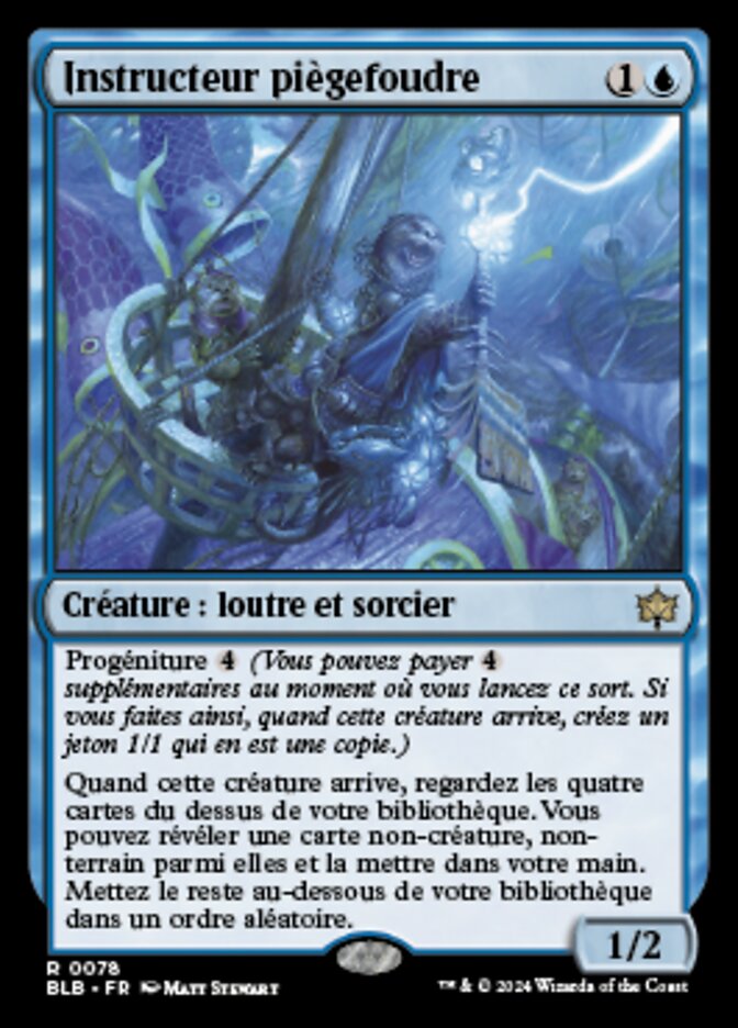 image Instructeur piègefoudre