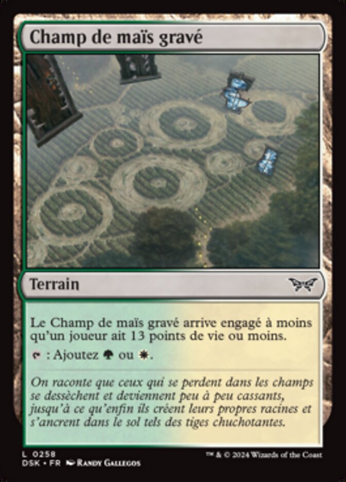 image Champ de maïs gravé