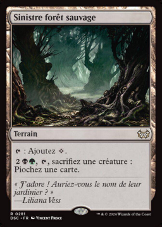 image Sinistre forêt sauvage