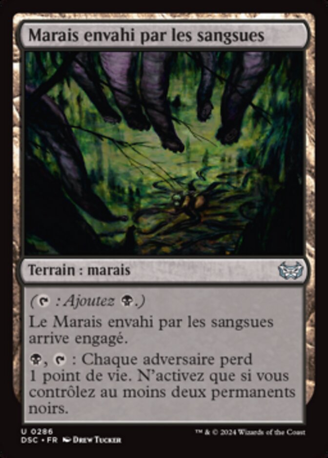 image Marais envahi par les sangsues