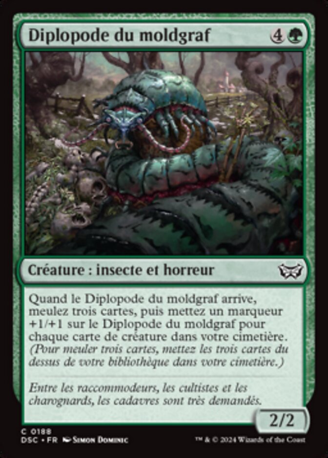 image Diplopode du moldgraf