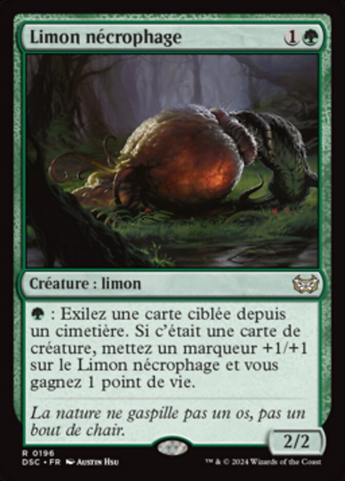 image Limon nécrophage