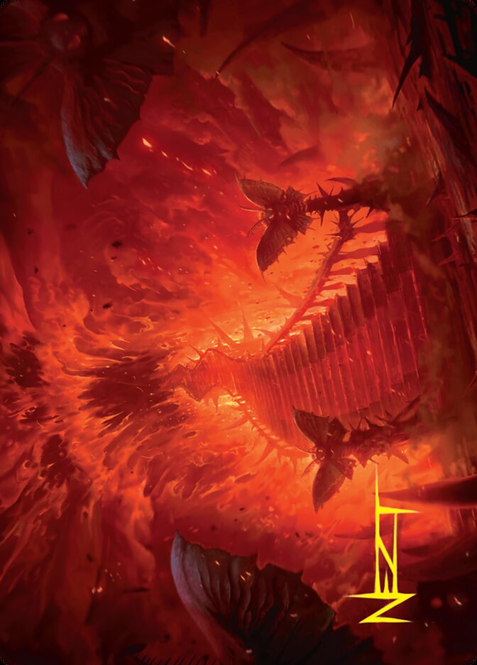 image Mountain // Mountain