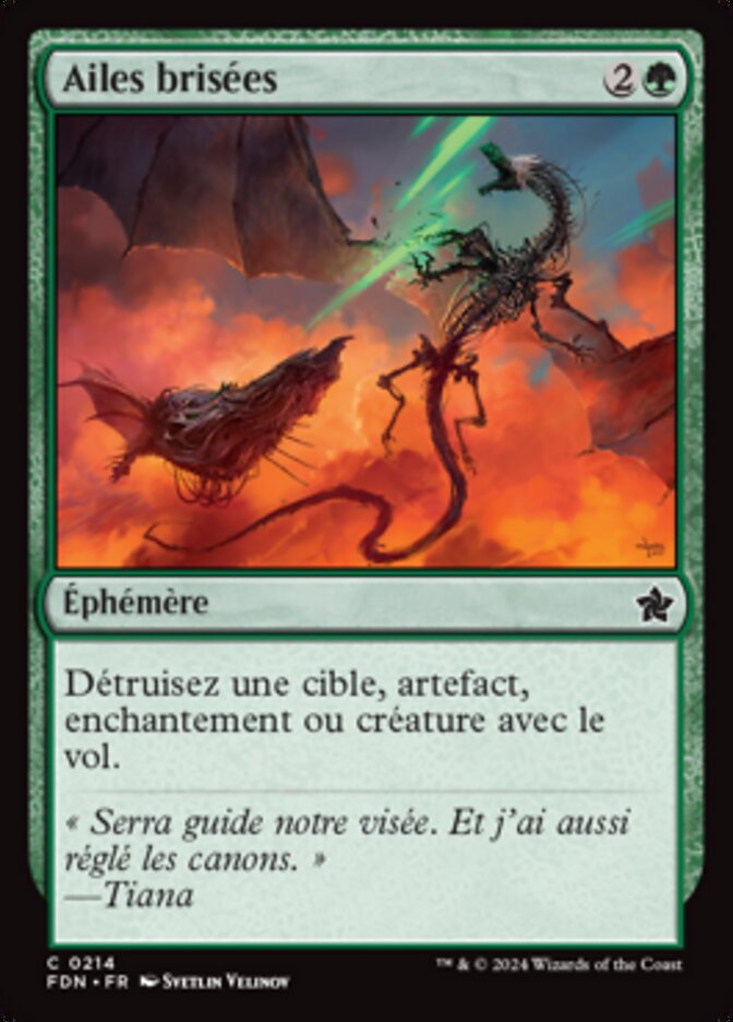 image Ailes brisées