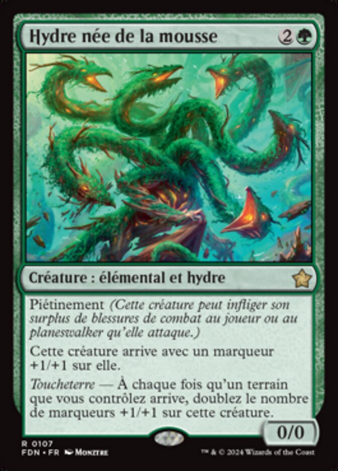 image Hydre née de la mousse