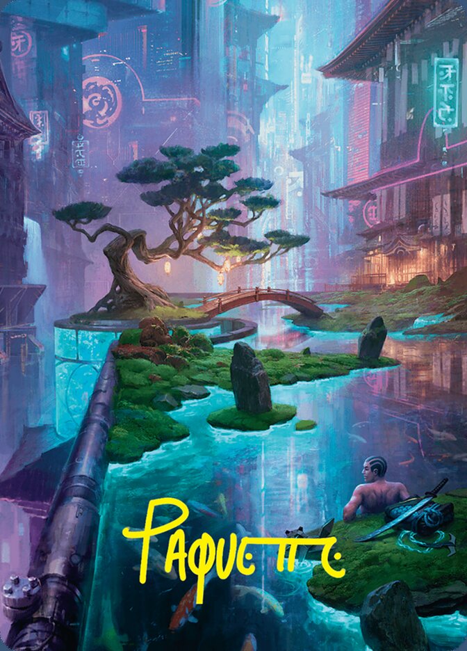 image Island // Island