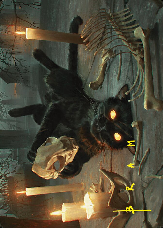 image Nine-Lives Familiar // Nine-Lives Familiar