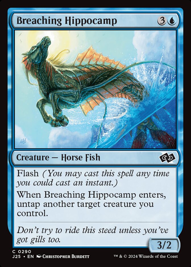 image Breaching Hippocamp