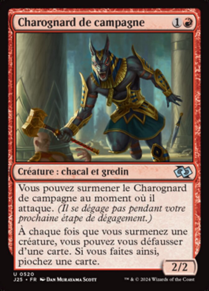 image Charognard de campagne