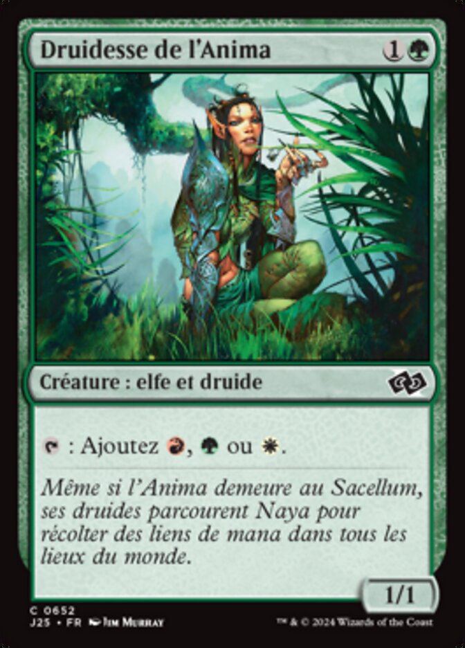 image Druidesse de l'Anima