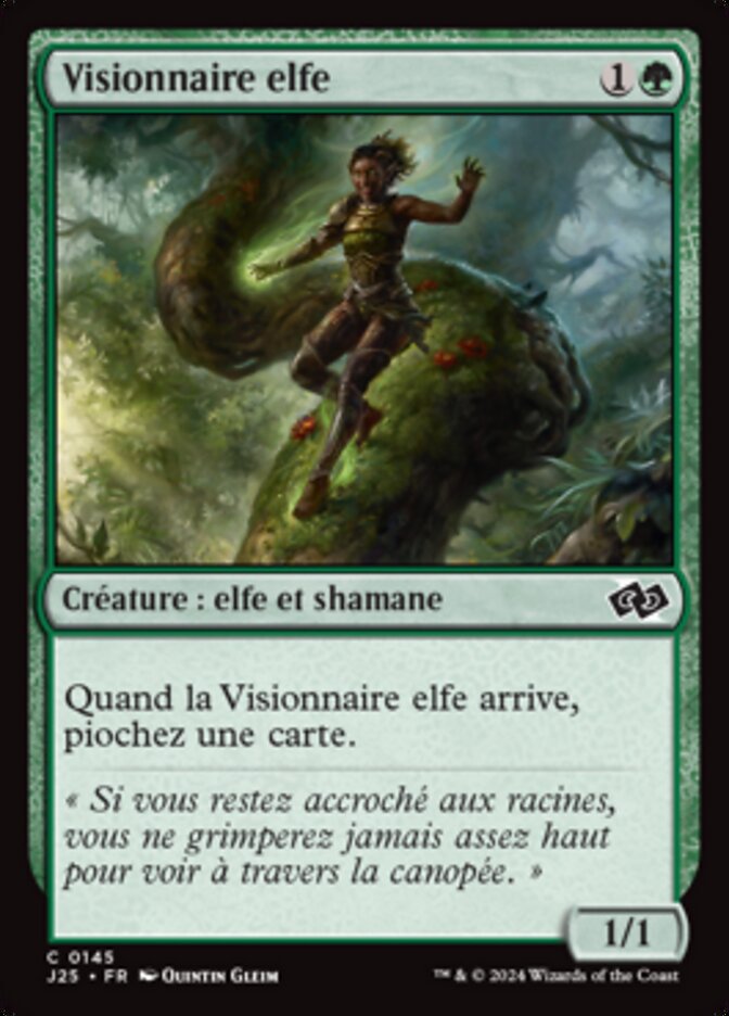 image Visionnaire elfe