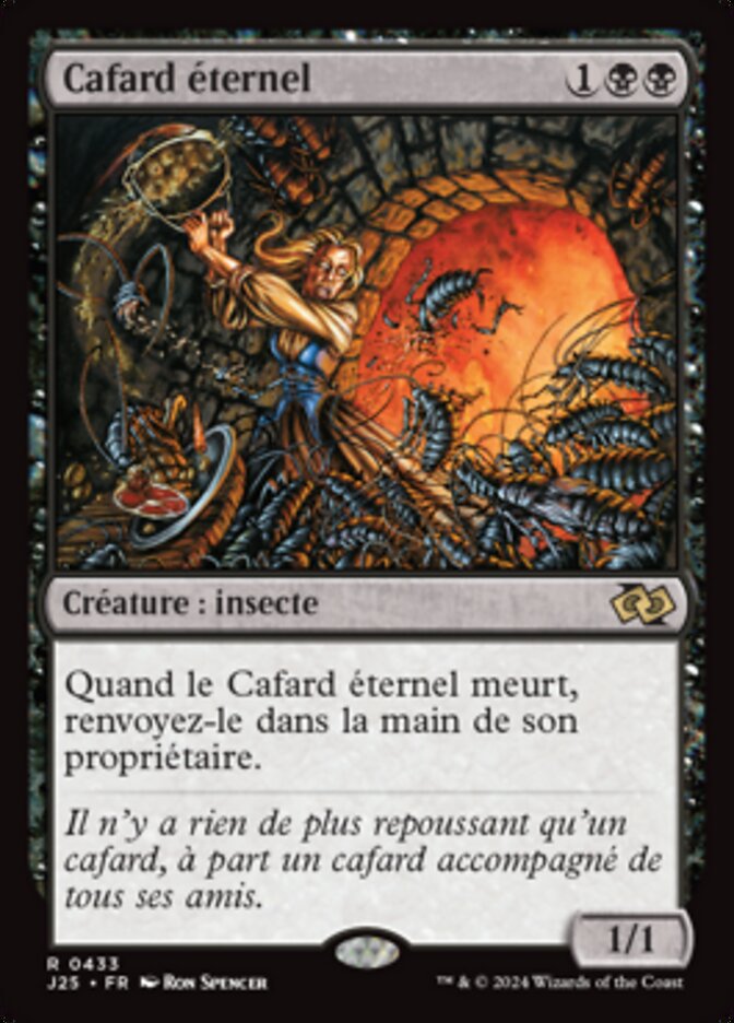 image Cafard éternel