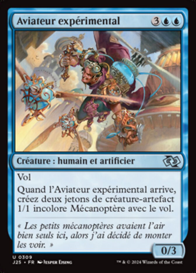 image Aviateur expérimental