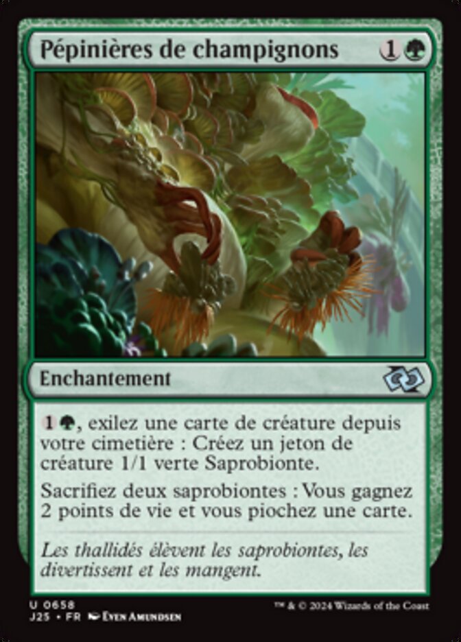 image Pépinières de champignons