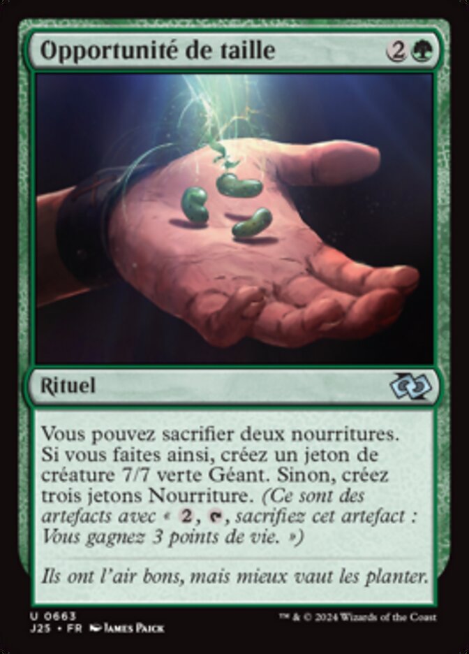 image Opportunité de taille